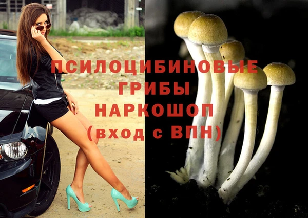 мдпв Балабаново