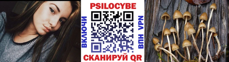 Галлюциногенные грибы мицелий  Губаха 