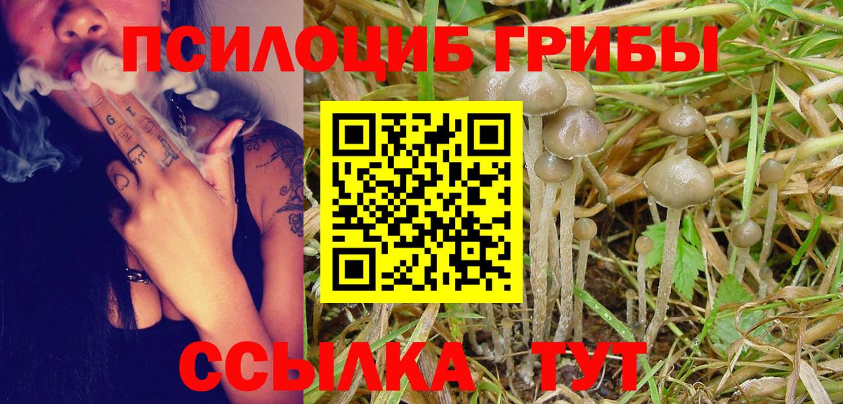 Галлюциногенные грибы GOLDEN TEACHER Губаха